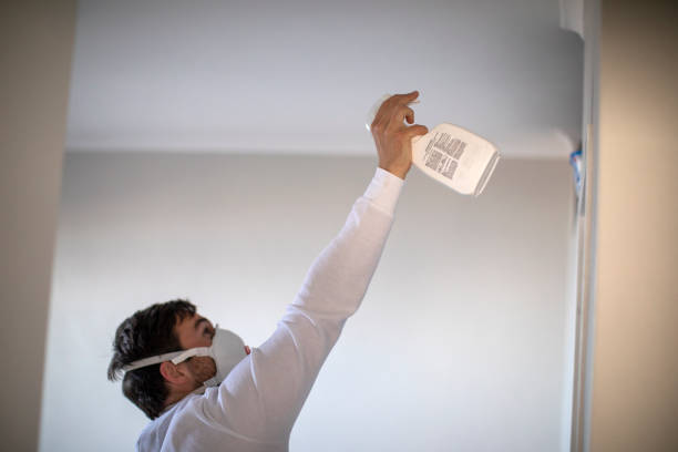 Best Best Mold Removal Companies  in Nicholls, GA