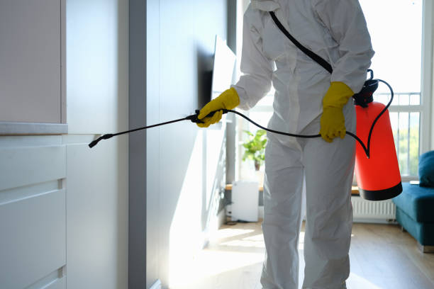 Mold Testing and Removal in Nicholls, GA