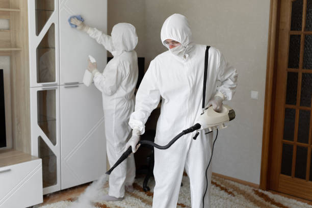 Best Local Mold Removal Service  in Nicholls, GA